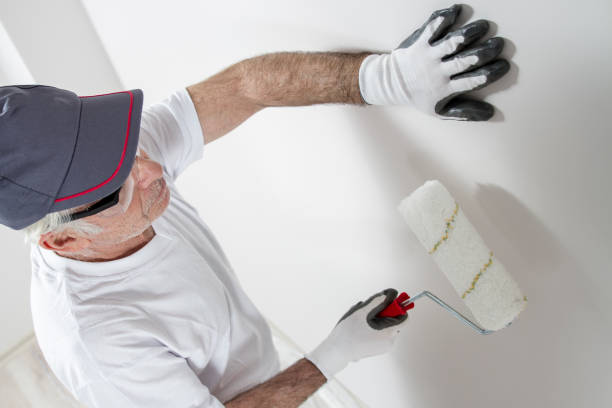 Best Mold Documentation for Insurance Claims  in Buffalo Grove, IL