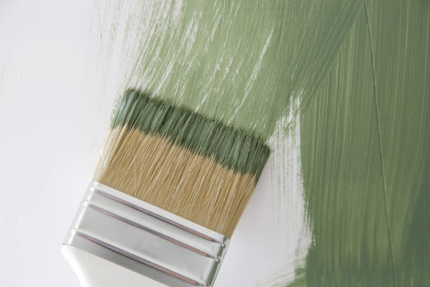 Best Basement Mold Removal  in Buffalo Grove, IL