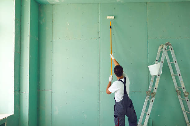 Best Attic Mold Removal  in Buffalo Grove, IL