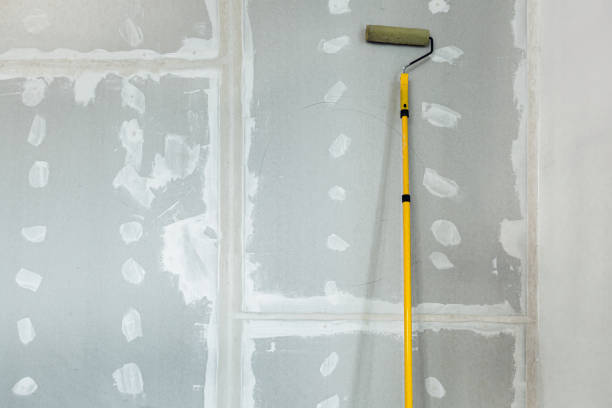 Best Biohazard Mold Removal  in Buffalo Grove, IL