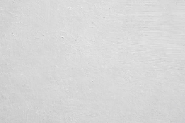 Best Asbestos and Lead Testing During Mold Inspection  in Buffalo Grove, IL