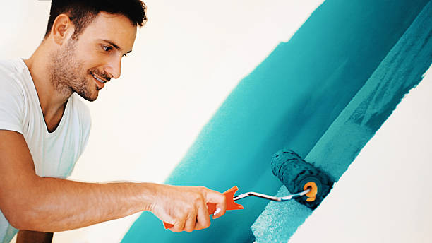 Best Mold Removal for HVAC Installations  in Buffalo Grove, IL