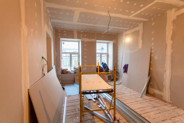 Best Forensic Mold Investigation  in Buffalo Grove, IL