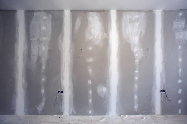 Best Post-Construction Mold Inspection  in Buffalo Grove, IL